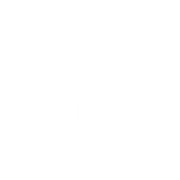 SkullAudio